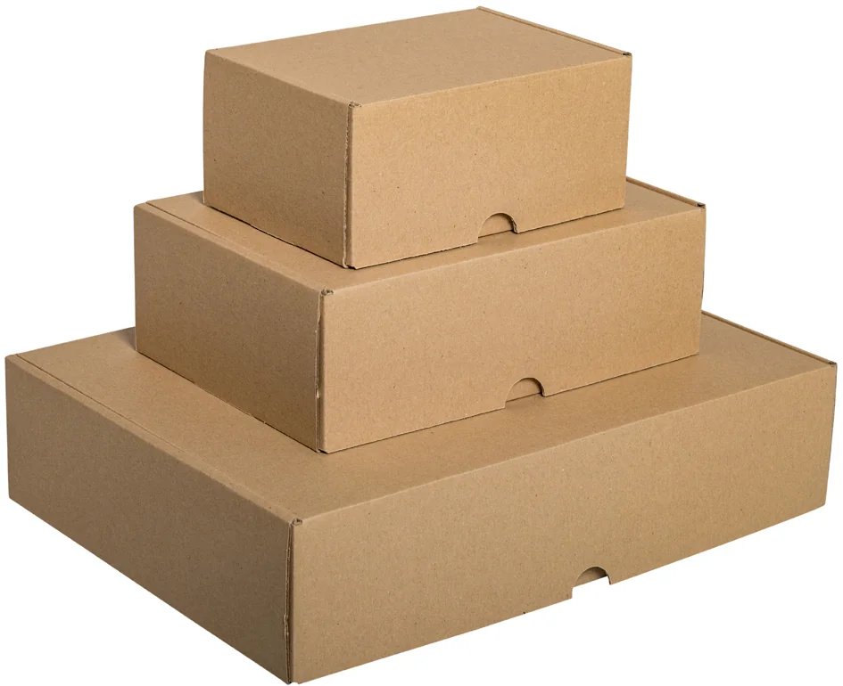 Smartboxpro Carton d'expédition maxi, (L)240x(P)160x(H)50 mm - lot de 25 — Int. 225 × 155 × 45 mm - OEM 211107825 – Image 2