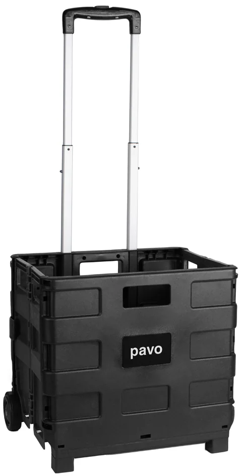 pavo Chariot de transport avec bac rabattable, charge 25 kg — 380 × 880 × 310 mm - OEM 8053919