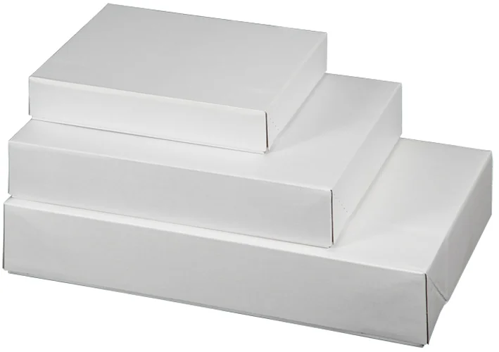 smartboxpro Caisse carton télescopique E-Commerce, grand - lot de 10 — Int. 600 × 400 × 200 mm - OEM 740799801